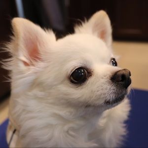 Meet your Posher, Jiyoung